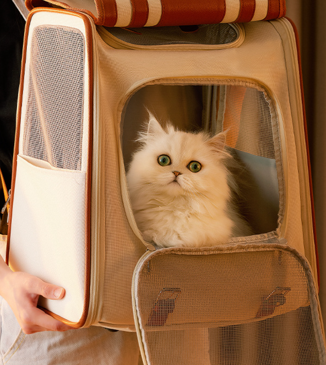 Pet Travel Bag - Shoulder Backpack