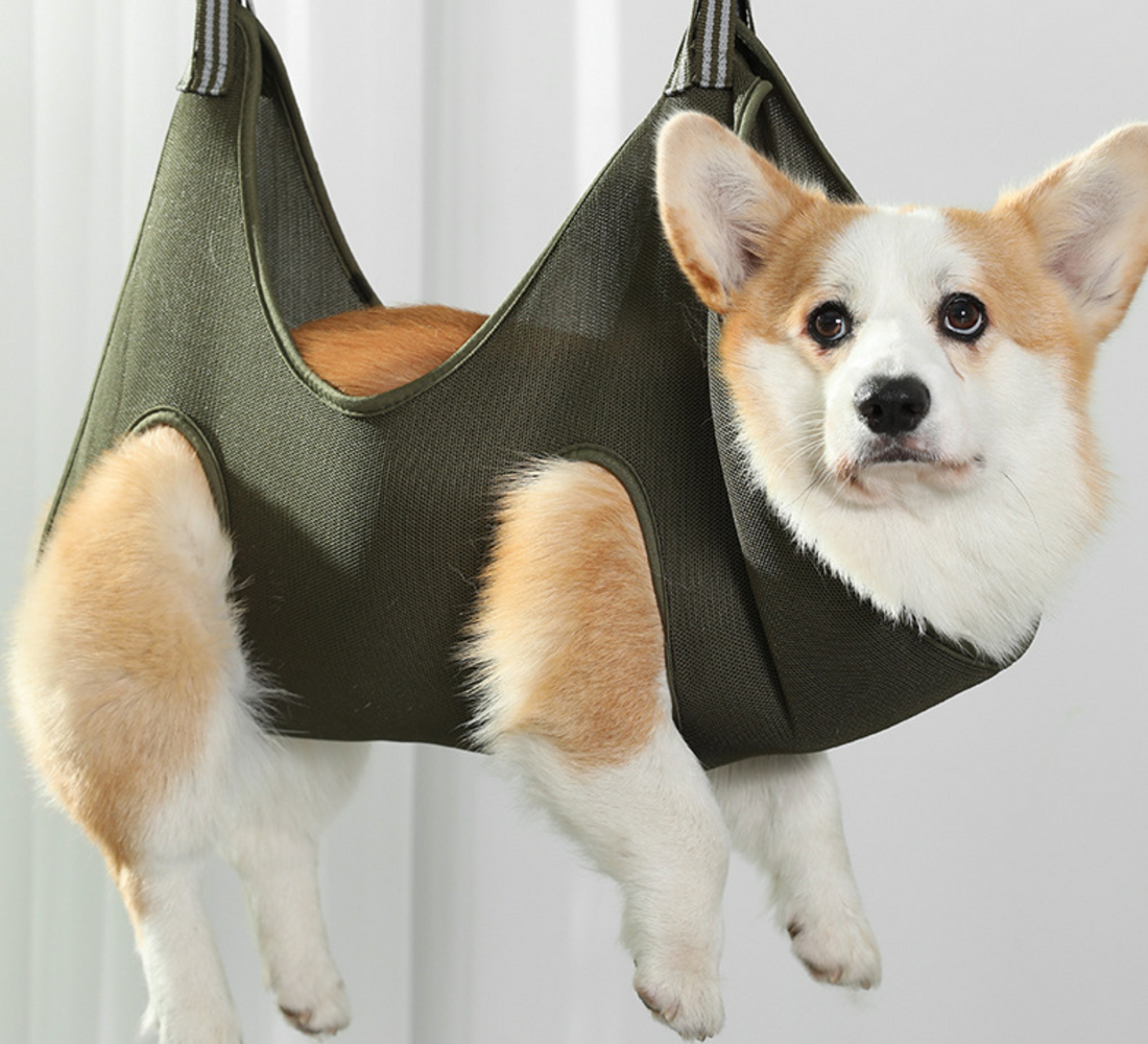 VooCoo 豪华旅行包