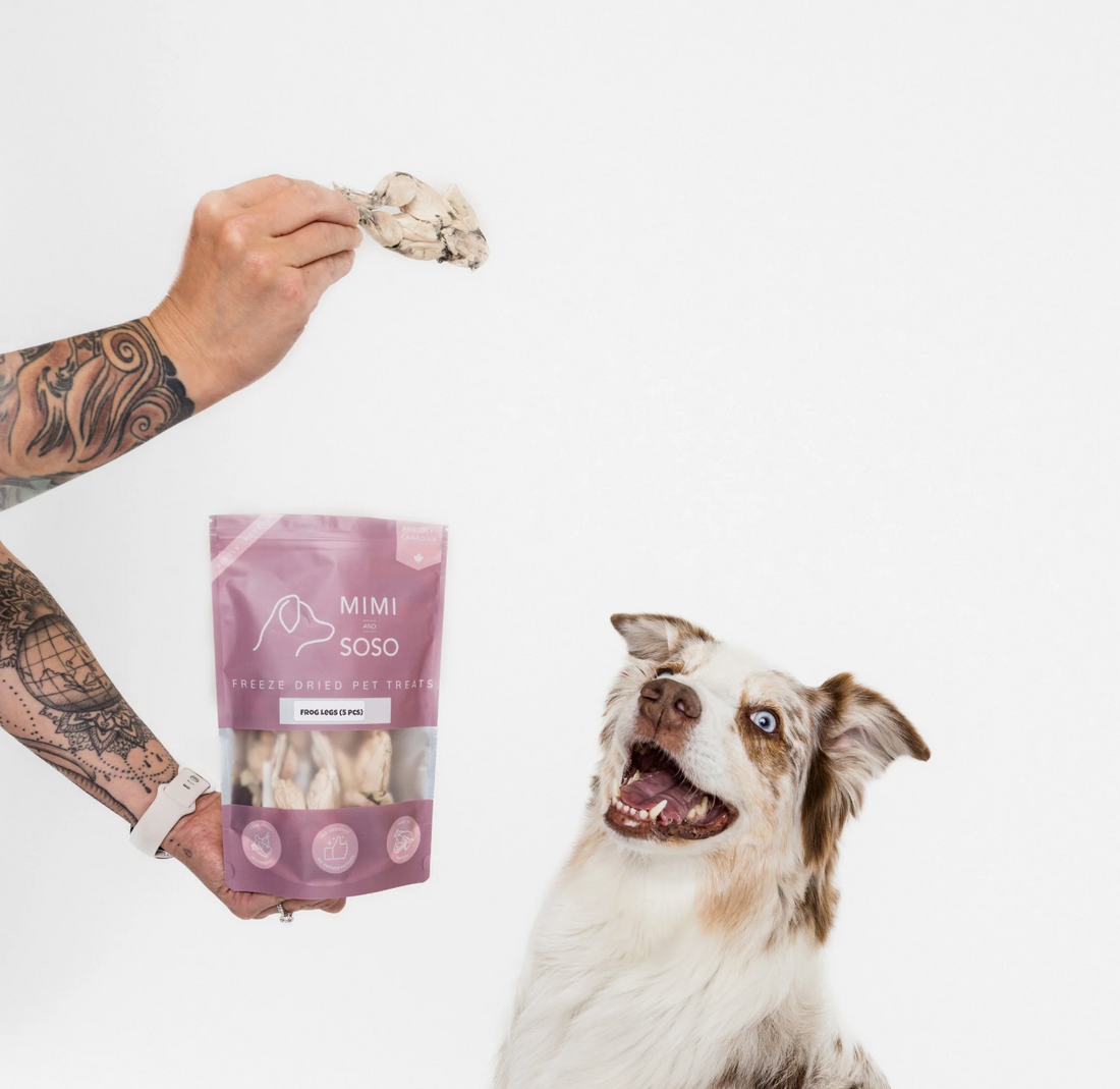 【For Walk in - Mimi & Soso】Freeze Dried Treats - 1/g