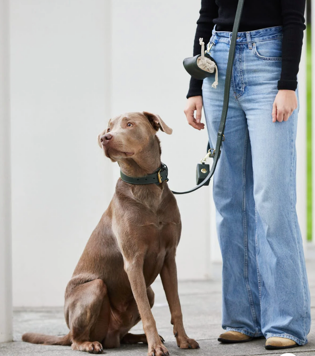 【William Walker】Poop Bag Holder - Dark Moss