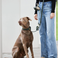 【William Walker】Poop Bag Holder - Dark Moss