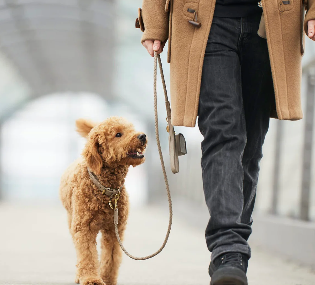 【William Walker】Poop bag holder - sand (Beige)