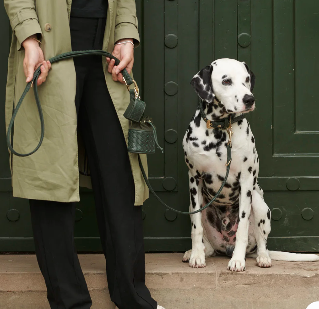 【William Walker】Treat Bag Prestige