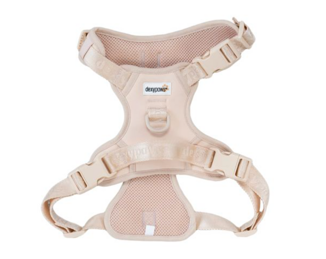 【DexyPaws】No-Pull Dog Harness -Nude