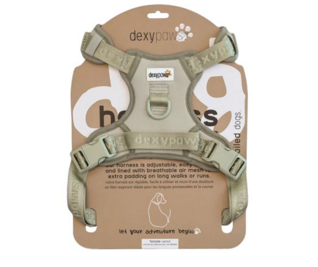 【DexyPaws】No-Pull Dog Harness -Sage Green