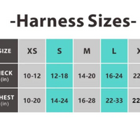 【DexyPaws】No-Pull Dog Harness -Sage Green