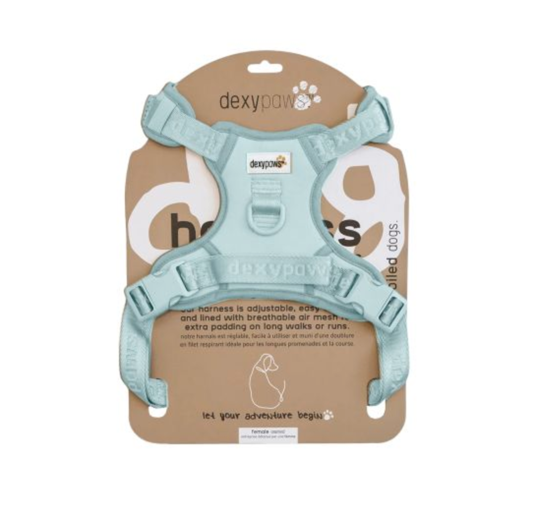 【DexyPaws】No-Pull Dog Harness -Sky Blue