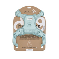 【DexyPaws】No-Pull Dog Harness -Sky Blue