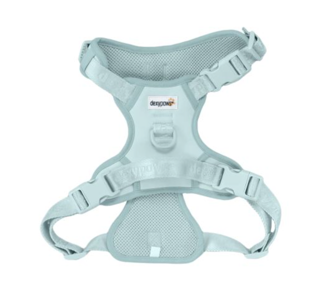 【DexyPaws】No-Pull Dog Harness -Sky Blue