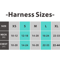 【DexyPaws】No-Pull Dog Harness -Sky Blue