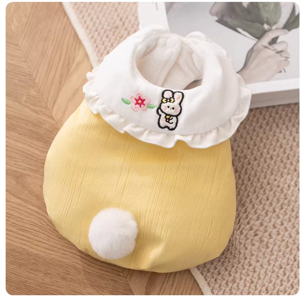 Cute Autumn & Winter Pet Vest