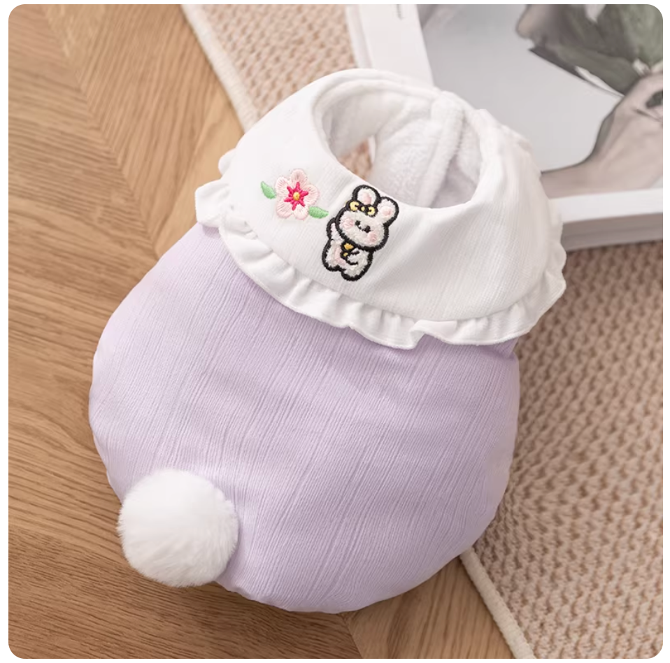 Cute Autumn & Winter Pet Vest