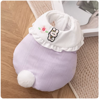 Cute Autumn & Winter Pet Vest
