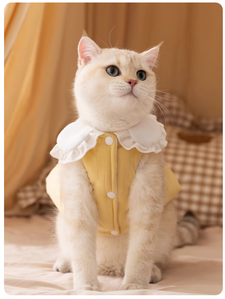 Cute Autumn & Winter Pet Vest