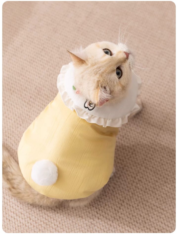 Cute Autumn & Winter Pet Vest