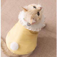 Cute Autumn & Winter Pet Vest