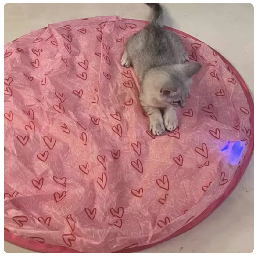 Cat Hide and Hunting Mat