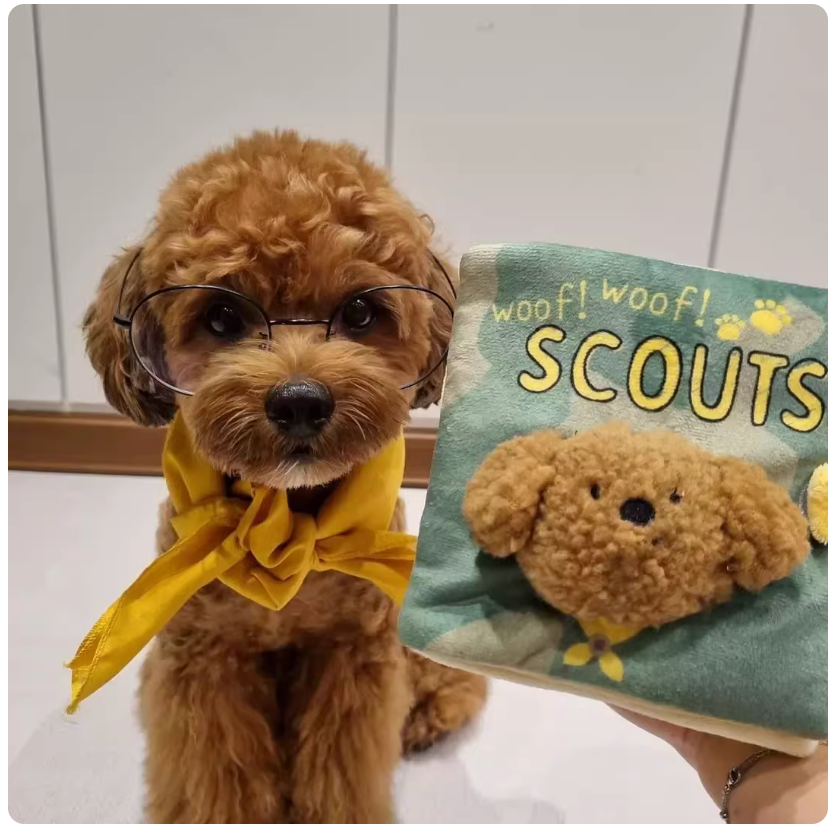 Interactive Dog Snuffle Book - Woof Scout Green (Hardness Level 1)