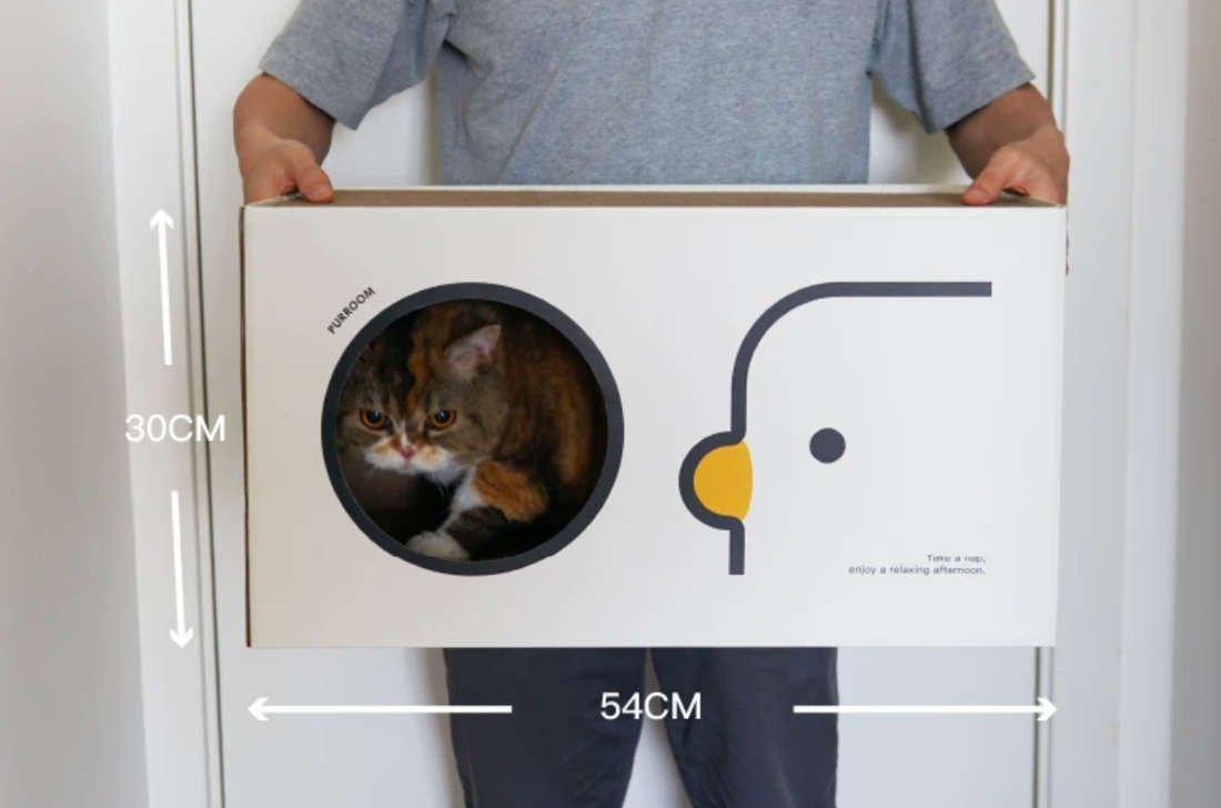 【PURROOM】Double-Layer Cat Scratcher House