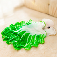 A Napa Cabbage Blanket