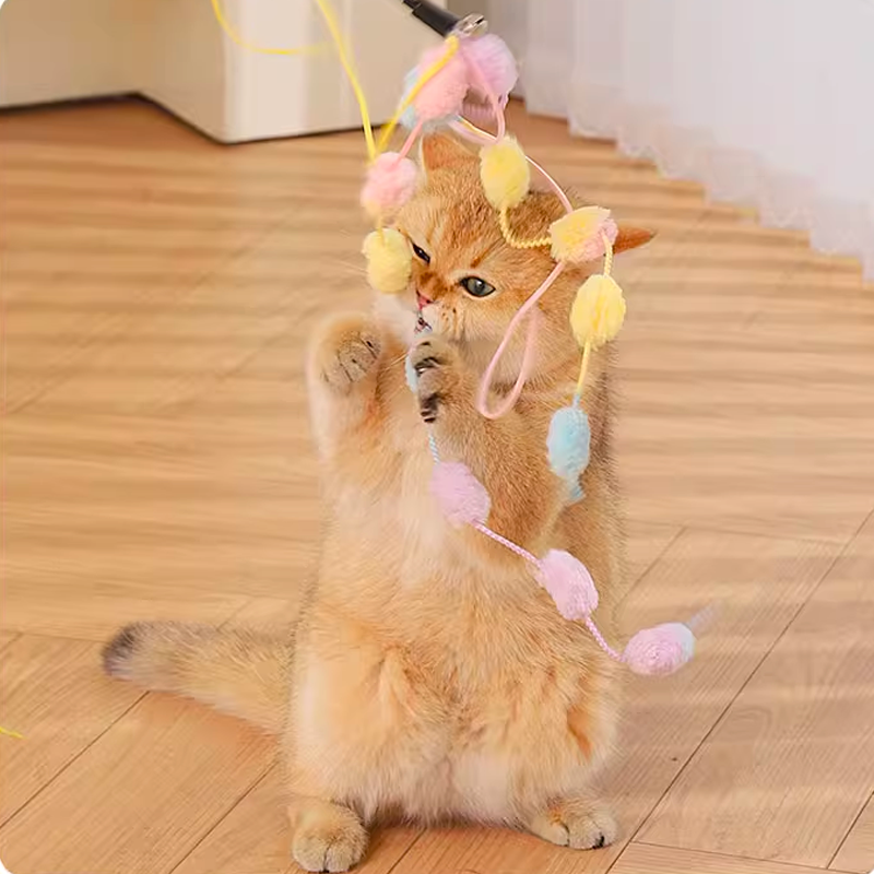 Marshmallow Cat Teaser