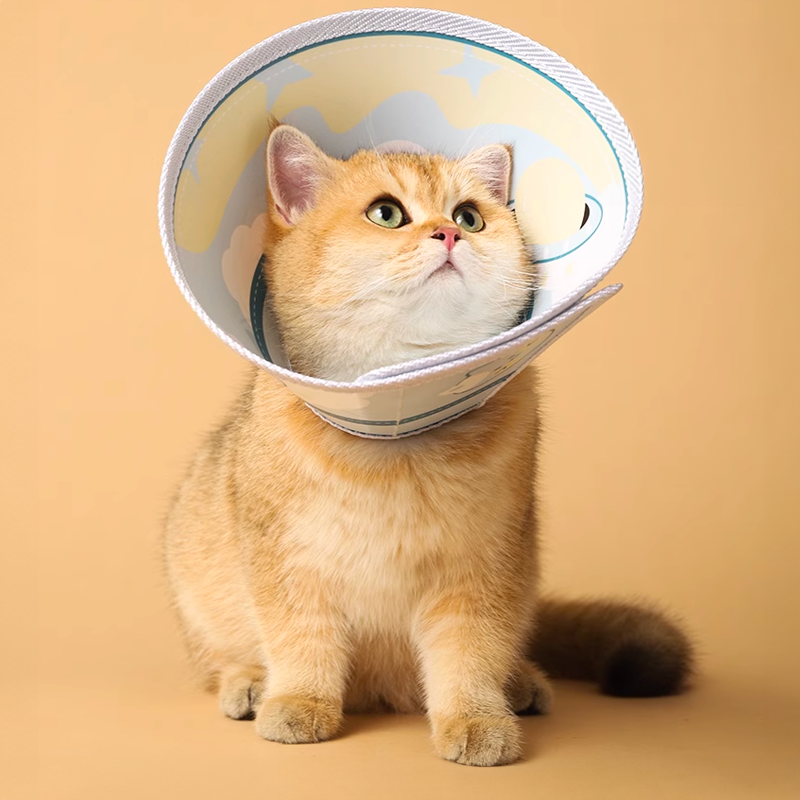 Pet Cone Recovery Collar