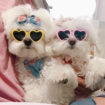 Lovely Heart Sun Glasses