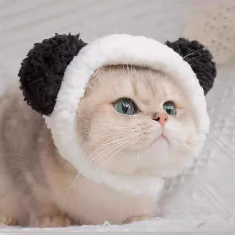 Cute Little Panda Hat
