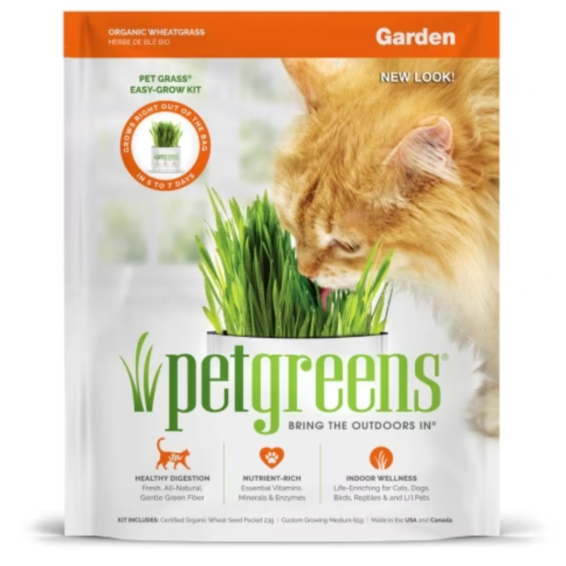 BELLROCK Pet Green Pet Grass Self Grow Kit Garden 3oz