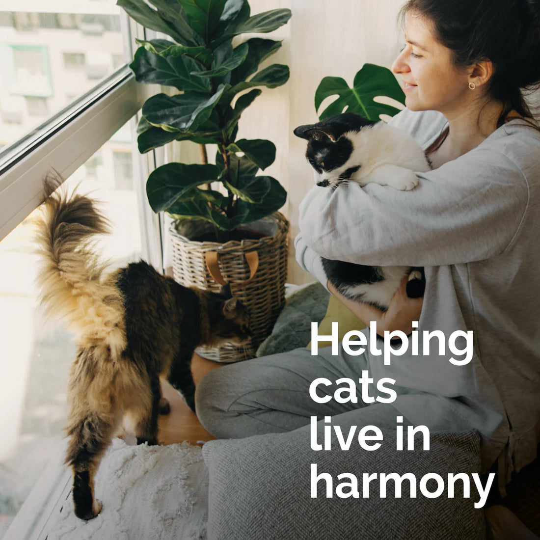 【Vetality】Harmony Pet Calming Spray for Cats 1.62 fl oz