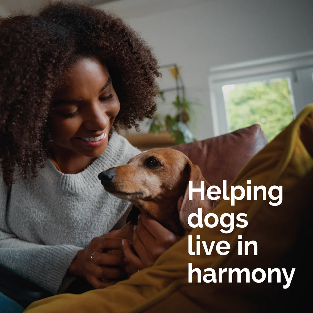 【Vetality】Harmony Pet Calming Collar for Dogs