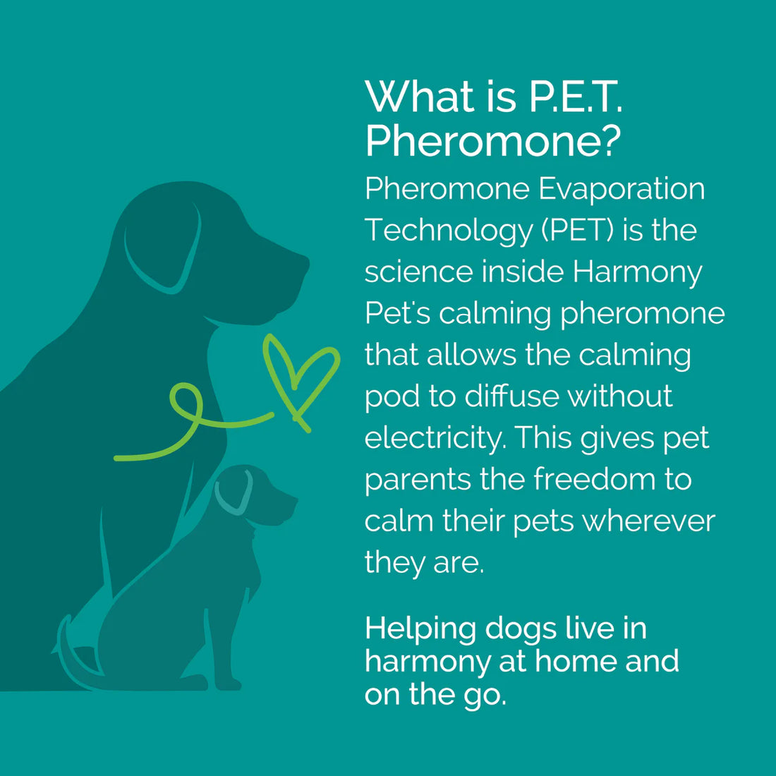 【Vetality】Harmony Pet Calming Collar for Dogs