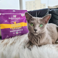 【Stella & Chewy's】 SC Cat Freeze-Dried Raw - Chicken Dinner Morsels