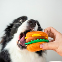 Quarter Pounder with Cheese Squeaky Hamburger Toy