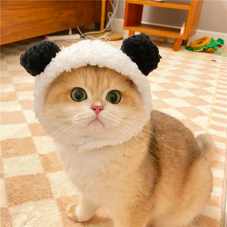 Cute Little Panda Hat