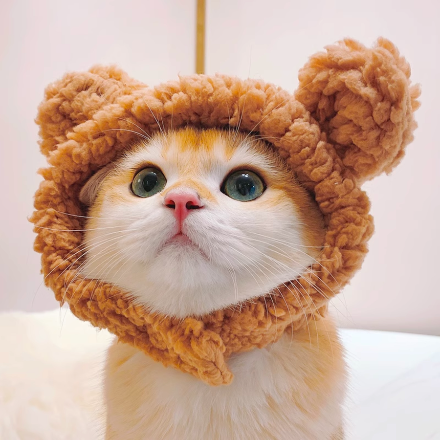Cute Little Bear Hat - Brown