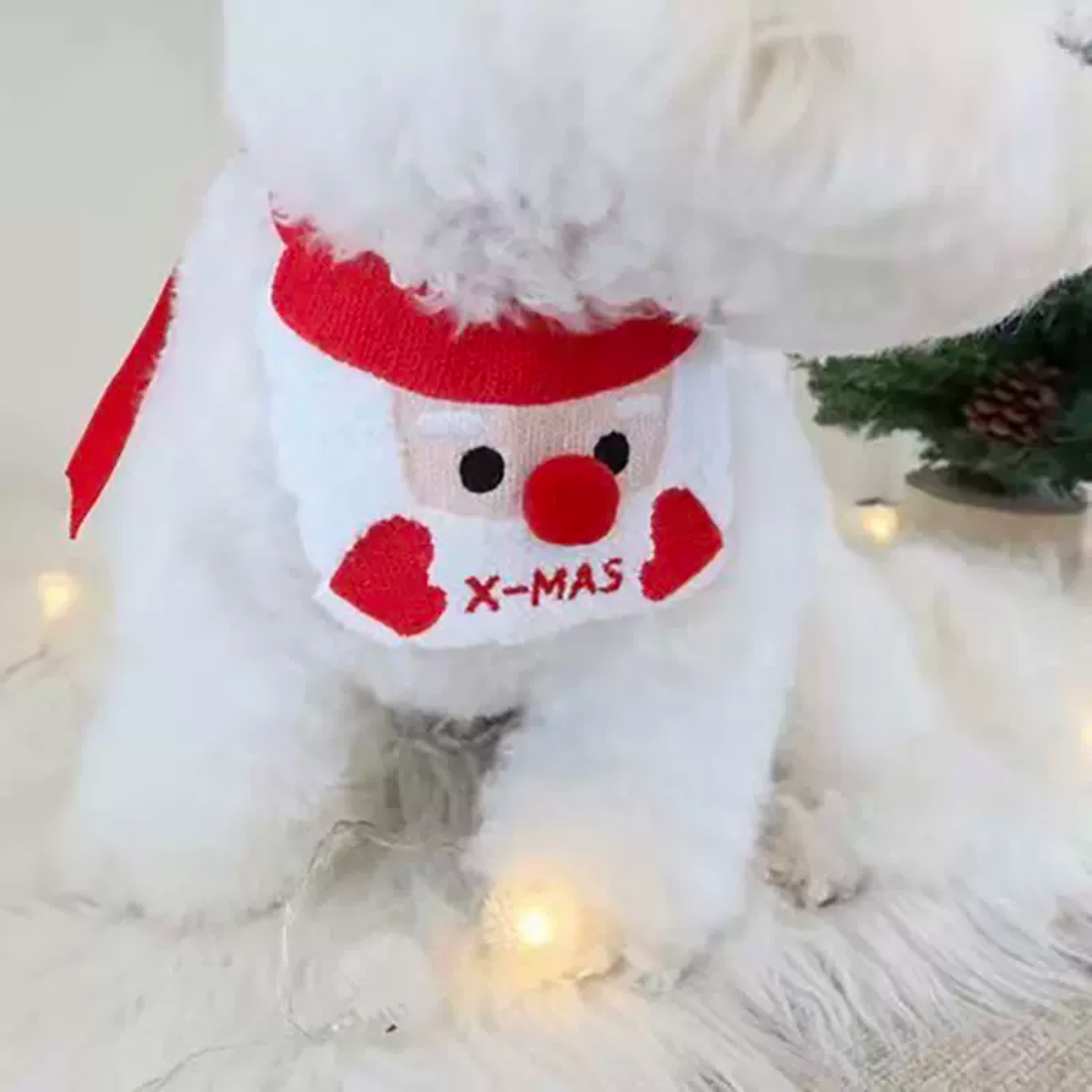 Christmas Red Nose Santa Bib