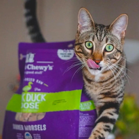 【Stella & Chewy's】 SC Cat Freeze-Dried Raw - Duck Dinner Morsels