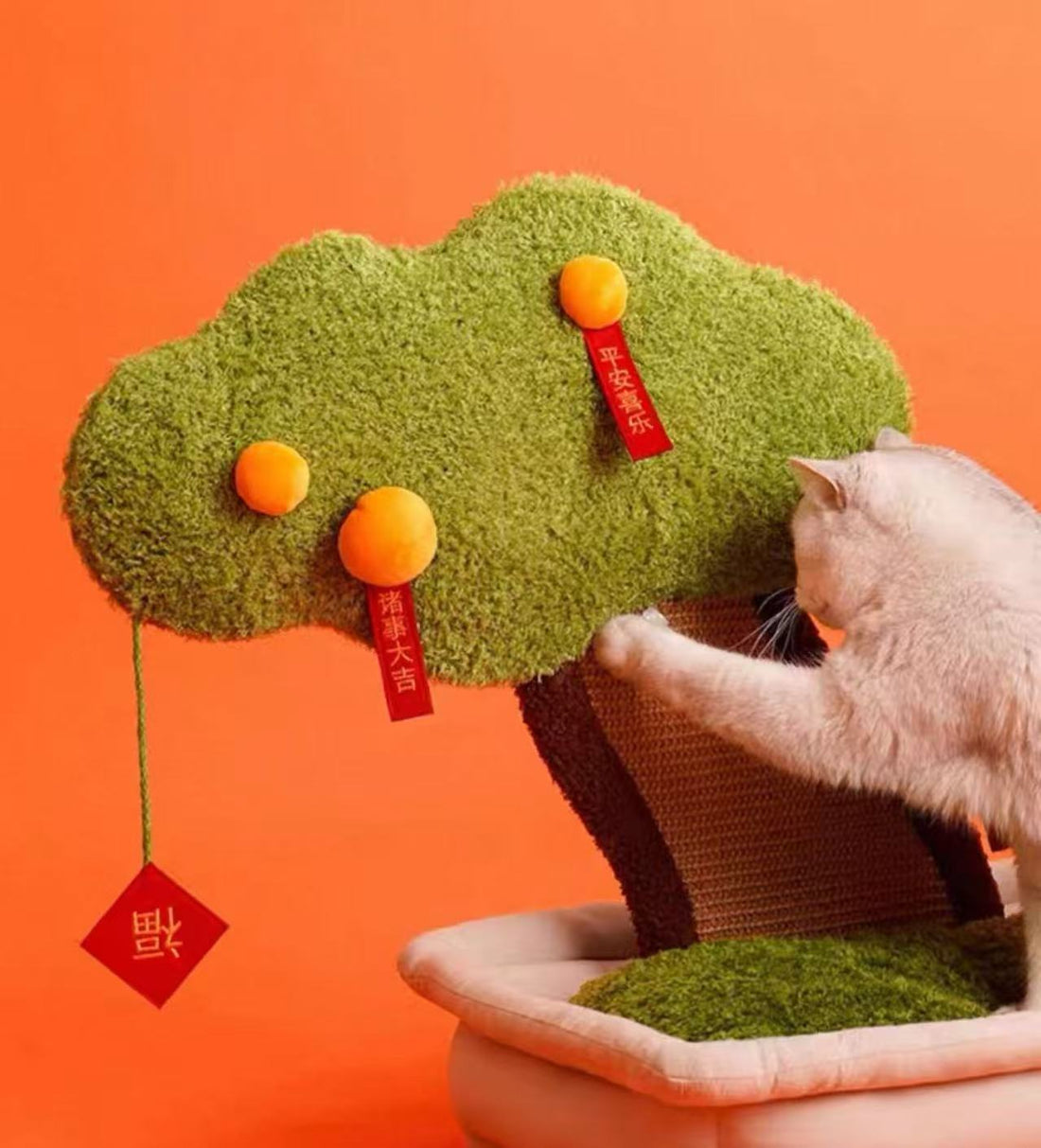 【Zeze】Kumquat Tree Cat Scratchboard