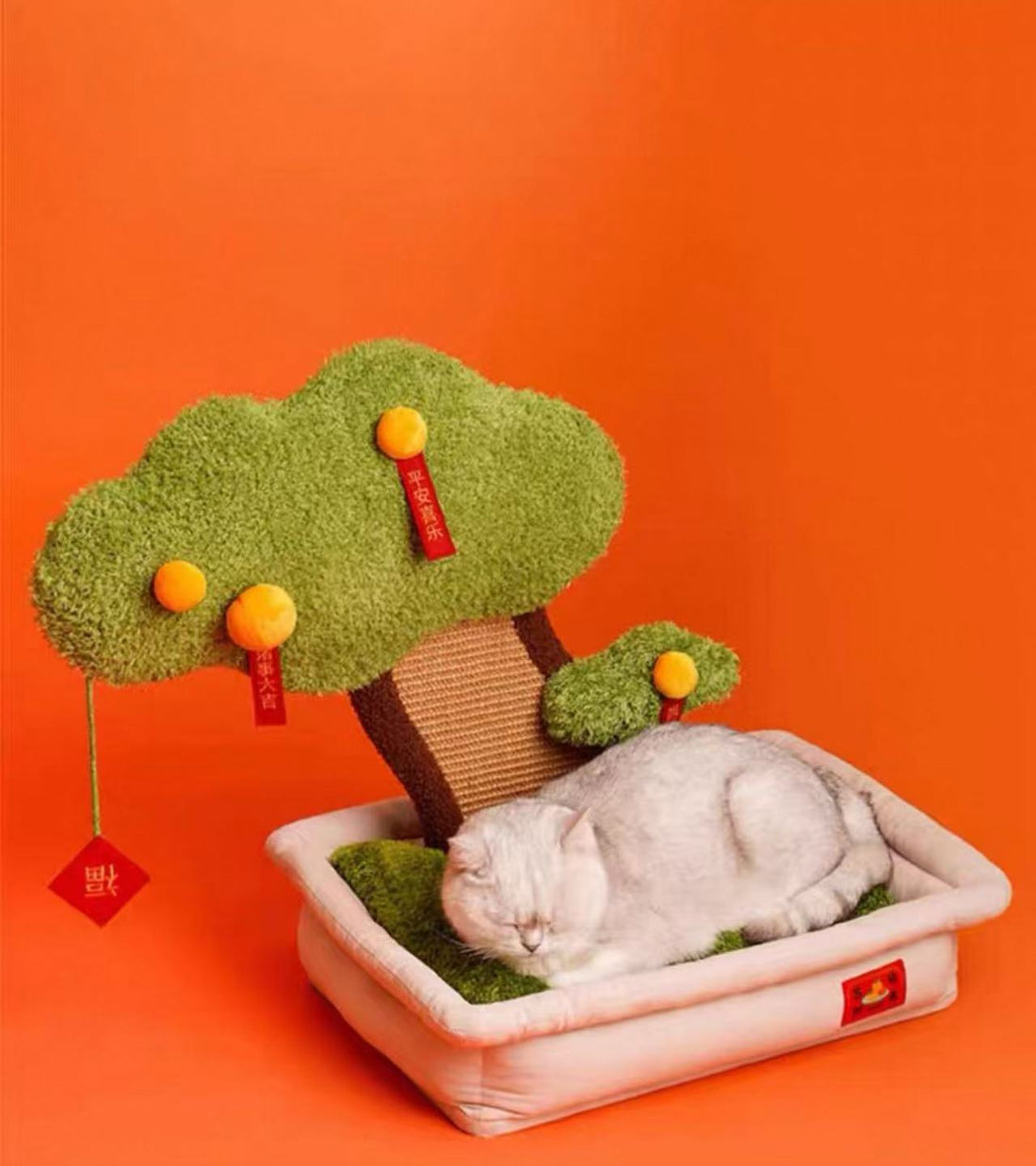 【Zeze】Kumquat Tree Cat Scratchboard