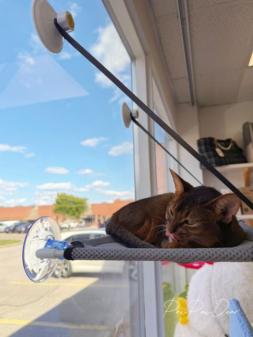 Hanging Cat Hammock – Single or Double Layer Options