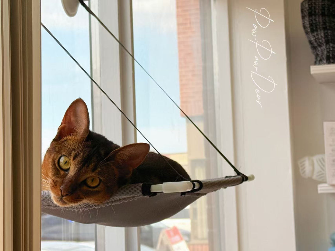 Hanging Cat Hammock – Single or Double Layer Options