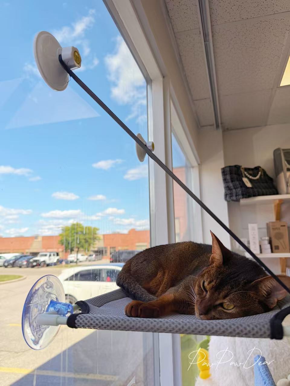 Hanging Cat Hammock – Single or Double Layer Options