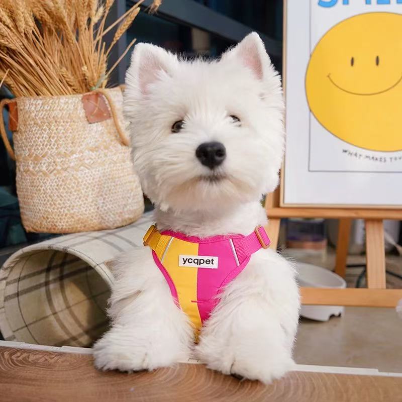 GlowGuard Reflective Harness & Leash Set