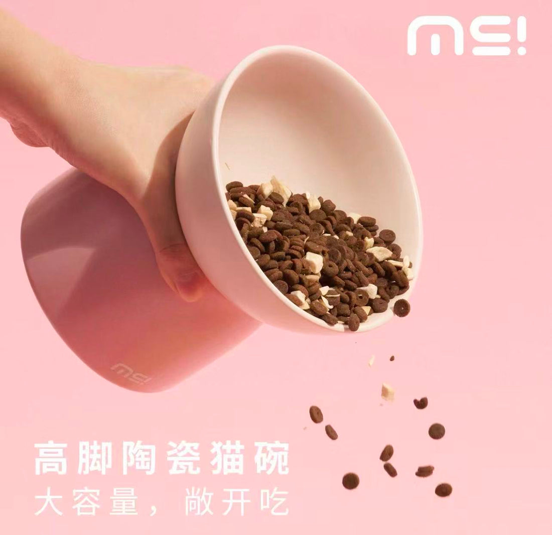 【Makesure】Tall Cat Two Use Tilting Bowl