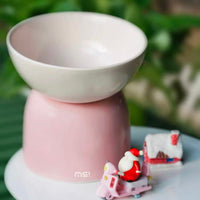 【Makesure】Tall Cat Two Use Tilting Bowl