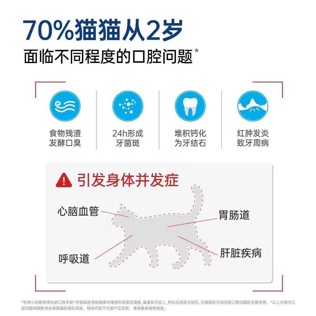 【小壳Cature】小白牙冻干洁齿棒