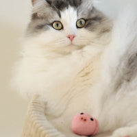 【Mori Cat】纯羊毛手工猫咪玩具