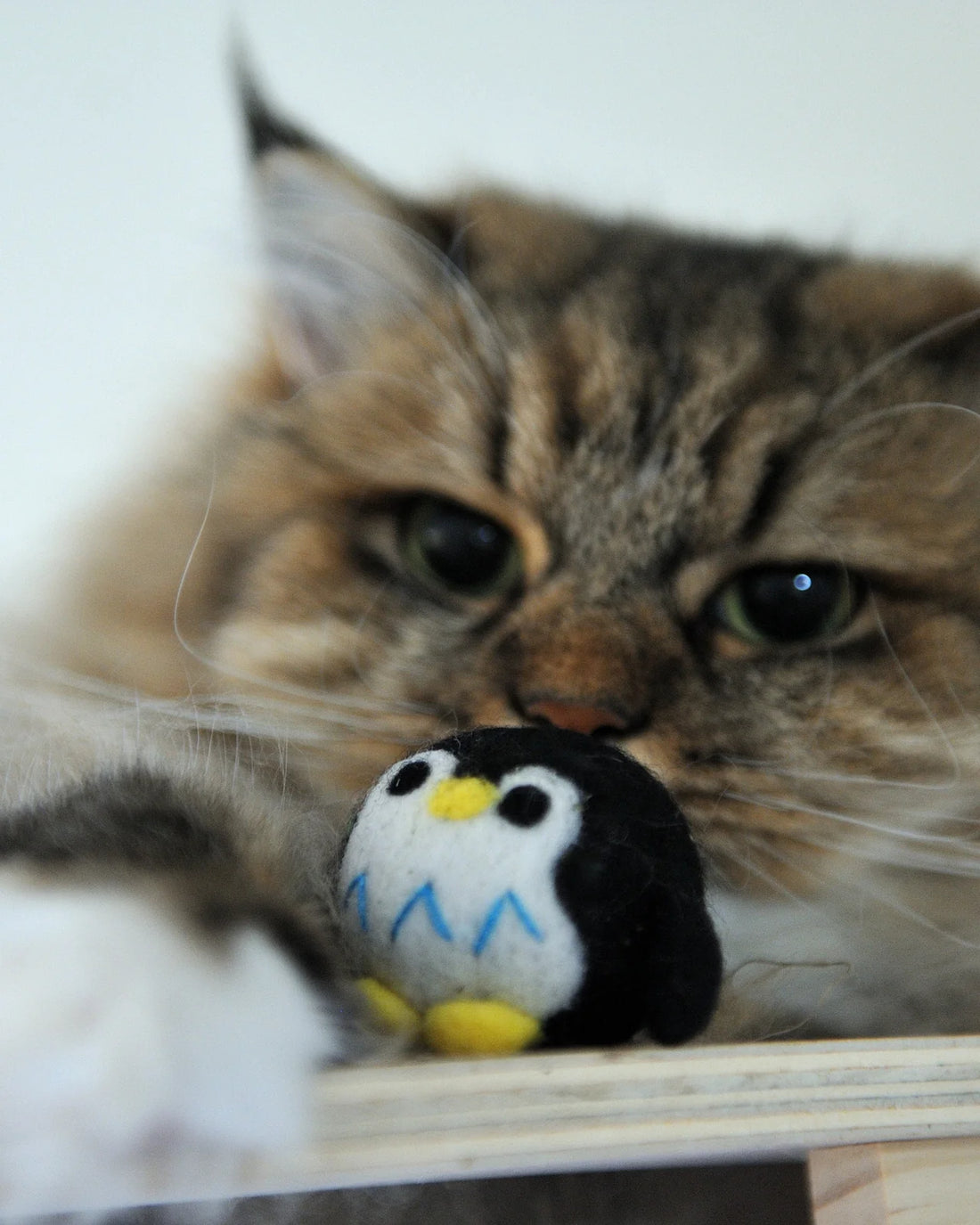 【Mori Cat】纯羊毛手工猫咪玩具