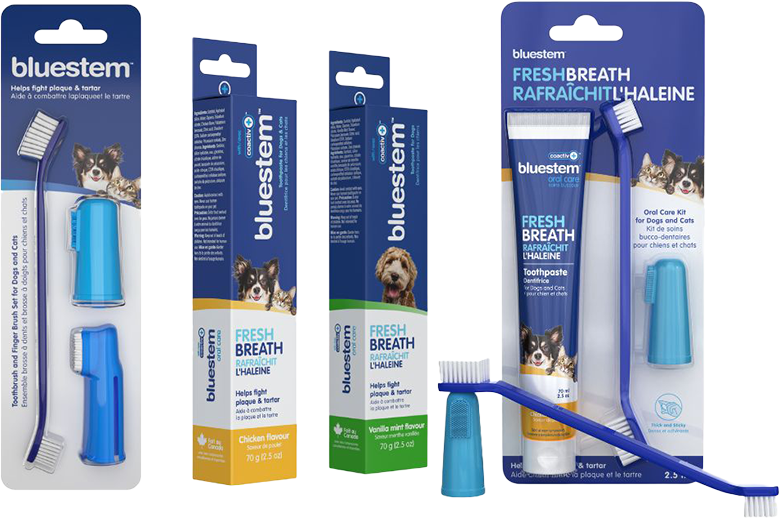 【Bluestem Oral】Care Toothpaste with coactiv+ Chicken Flavor for Dogs & Cats 70gm